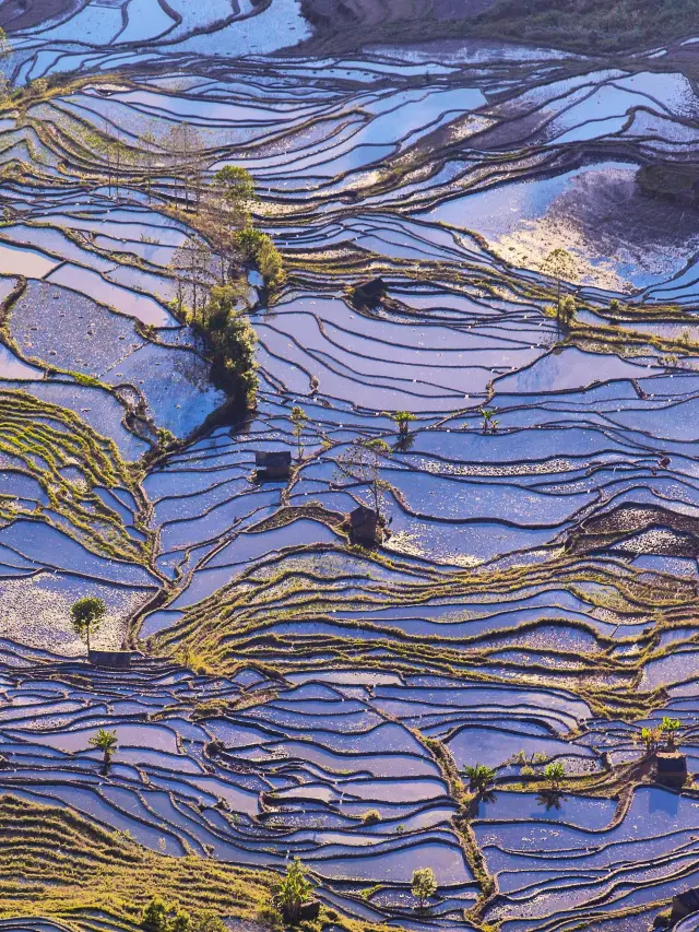 8 Days in Yunnan: Kunming, Jianshui, Yuanyang. Who can resist the beauty? 