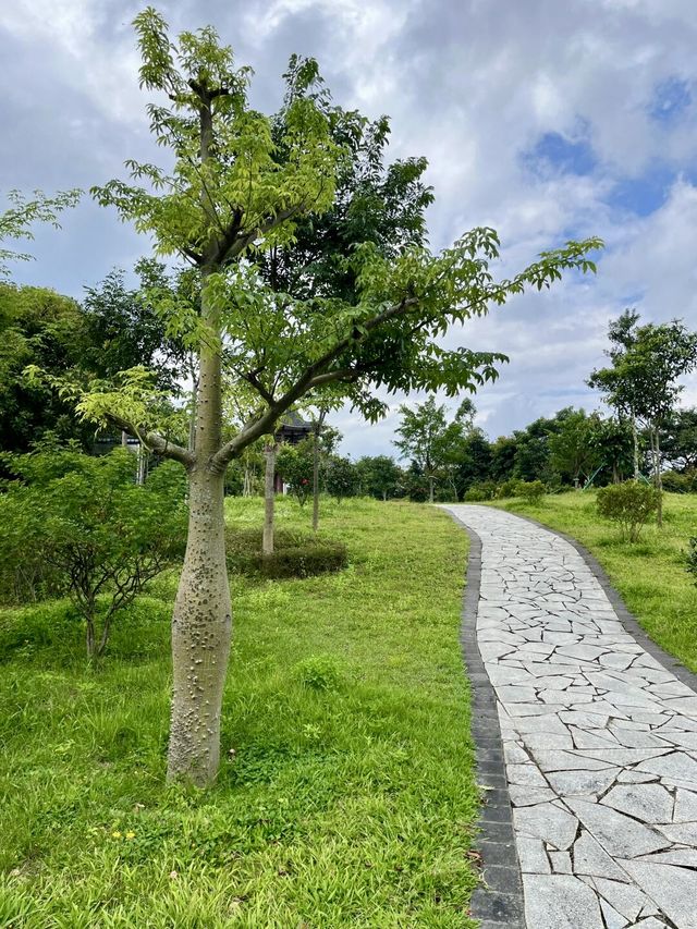 廣州增城區太子坑森林公園|這觀賞日落勝地你不會還不知道吧。