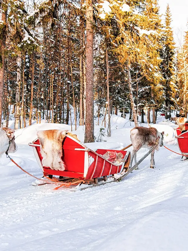 상지의 가을이 당신을 기다립니다. 클릭해서 그 이유를 확인해보세요.