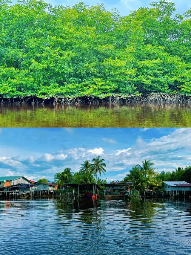 치유의 여행을 떠나보세요 | 시파단 반딧불이