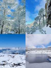 轎子雪山雪景美不勝收，千萬別錯過12月賞雪良機！！