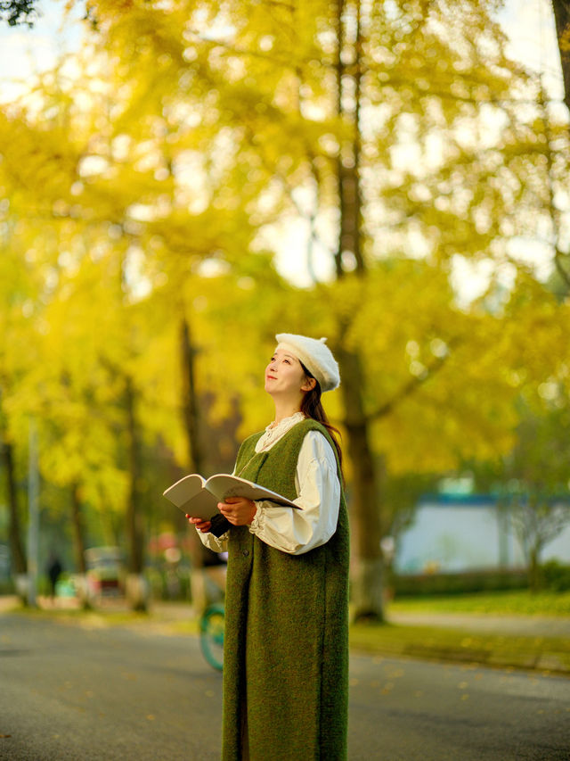 成都！四川大學望江校區的銀杏濃度已達10000%！