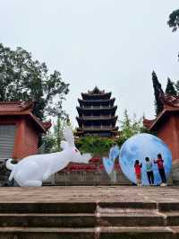 一個冷門又有趣的城市，高鐵直達隨便去