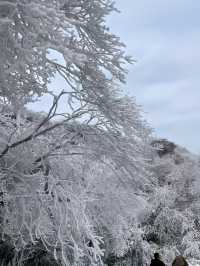廣東出發3大賞雪寶藏城市！快記下！