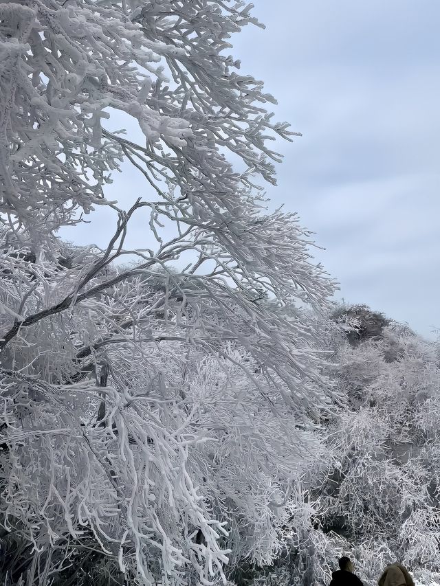 廣東出發3大賞雪寶藏城市！快記下！