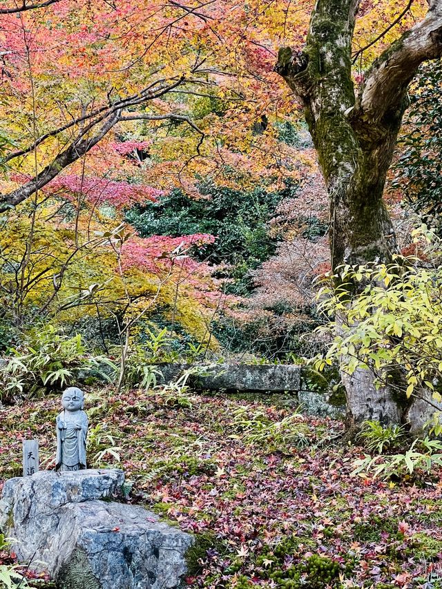日本·京都嵐山二尊院