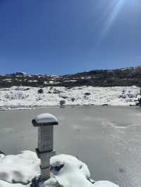 雲南昆明轎子雪山｜治癒你的巍峨壯麗雪世界