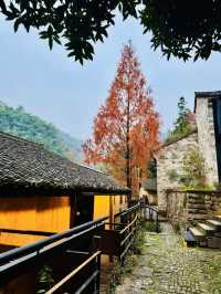 游走600年古村落裡的避世桃源：不舍·野馬嶺