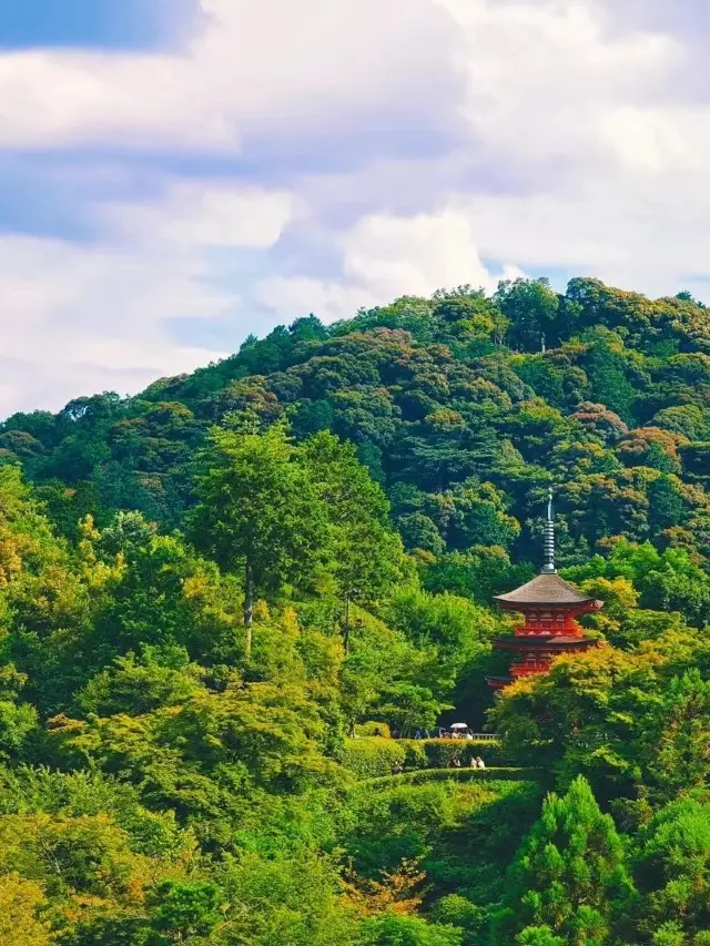 7-Day Japan New Year Trip: Detailed Guide