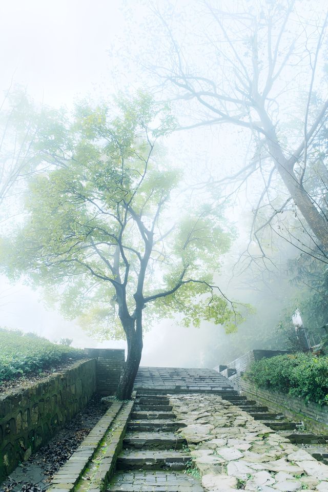 合肥周邊遊
