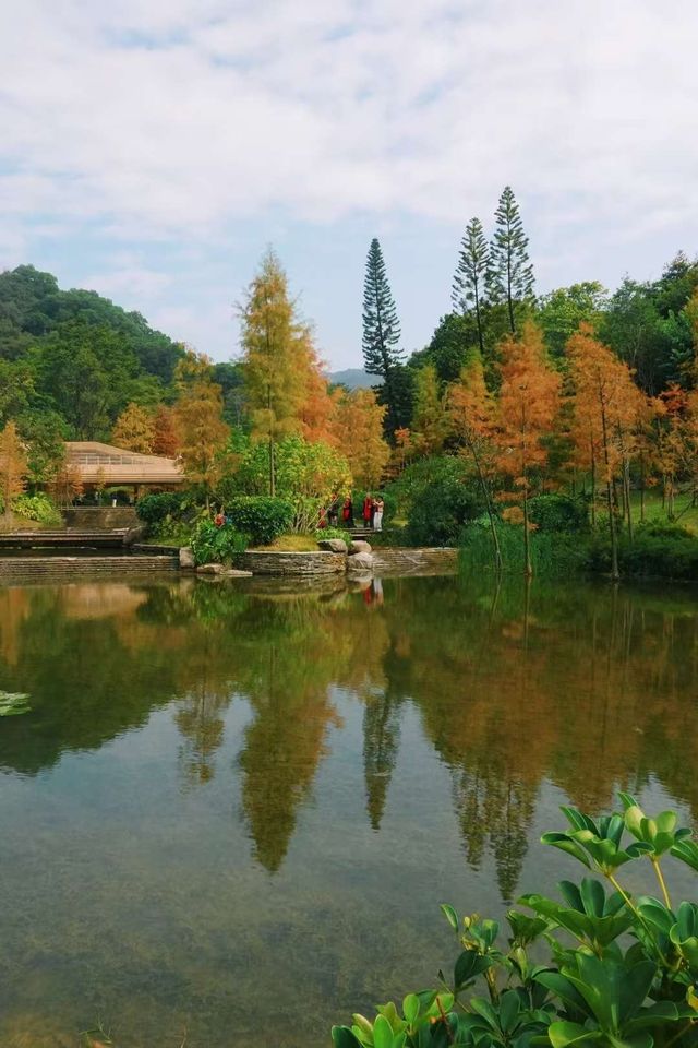 【綠意盎然】廣州雲溪植物園，探索城市綠洲的自然之旅
