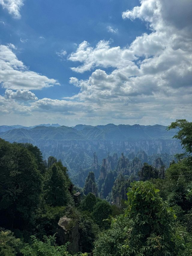 湖南省張家界天子山‖山頂奇觀