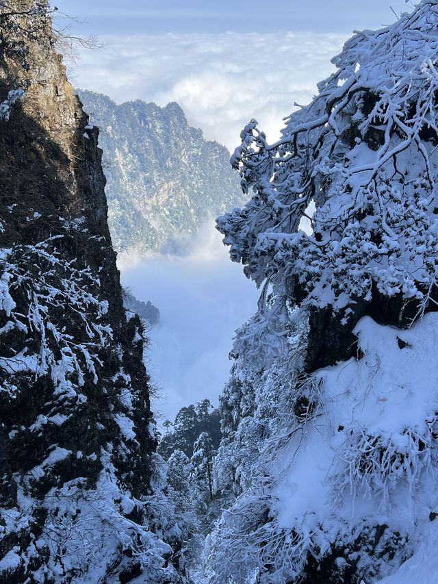 峨眉山2日遊 老友出行理想攻略 峨眉山2日遊 老友出行理想攻略