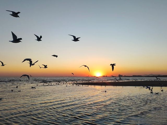 海邊日記︱老虎石海上公園日落凍海