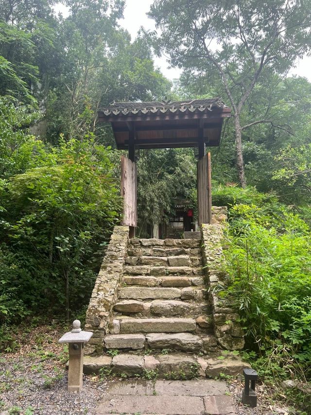 樾和林泉．白玉蘭