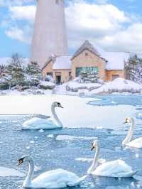 本來以為青島已經很美了,直到我去了威海才知道……