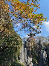 6天暢遊昆明-大理市-麗江 超詳細攻略來襲