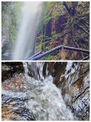 Moli Tropical Rainforest is a paradise beyond imagination