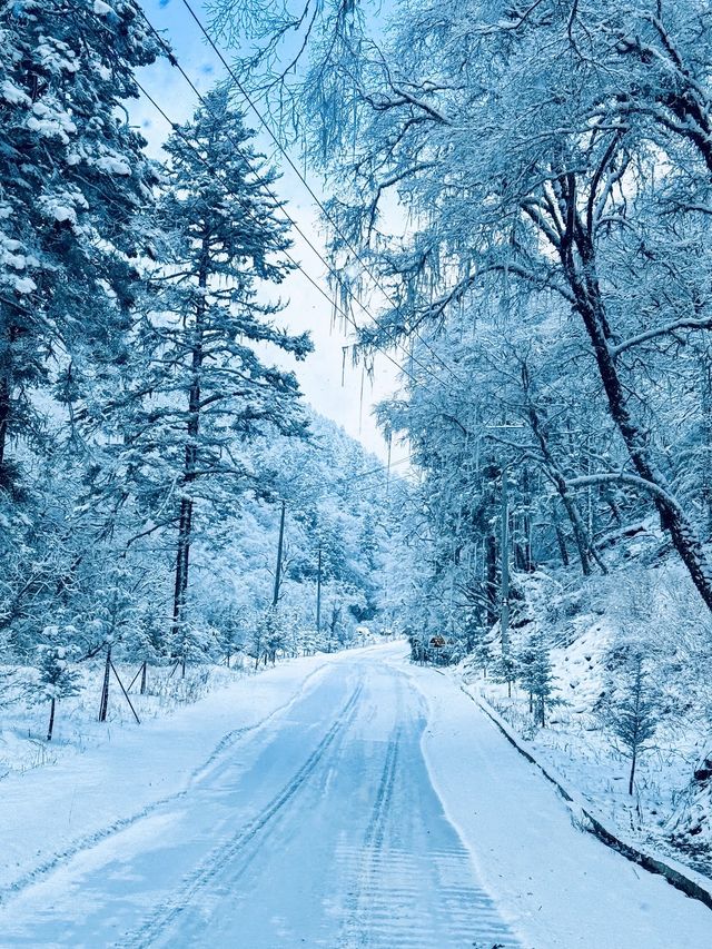 滿屏雪山霧凇的滑雪場