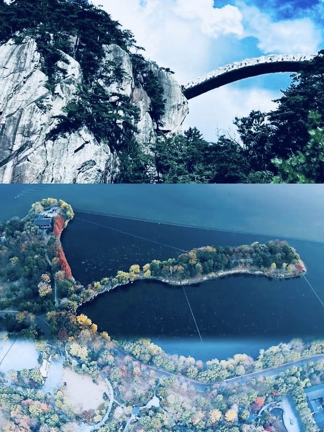它的美很難拒絕