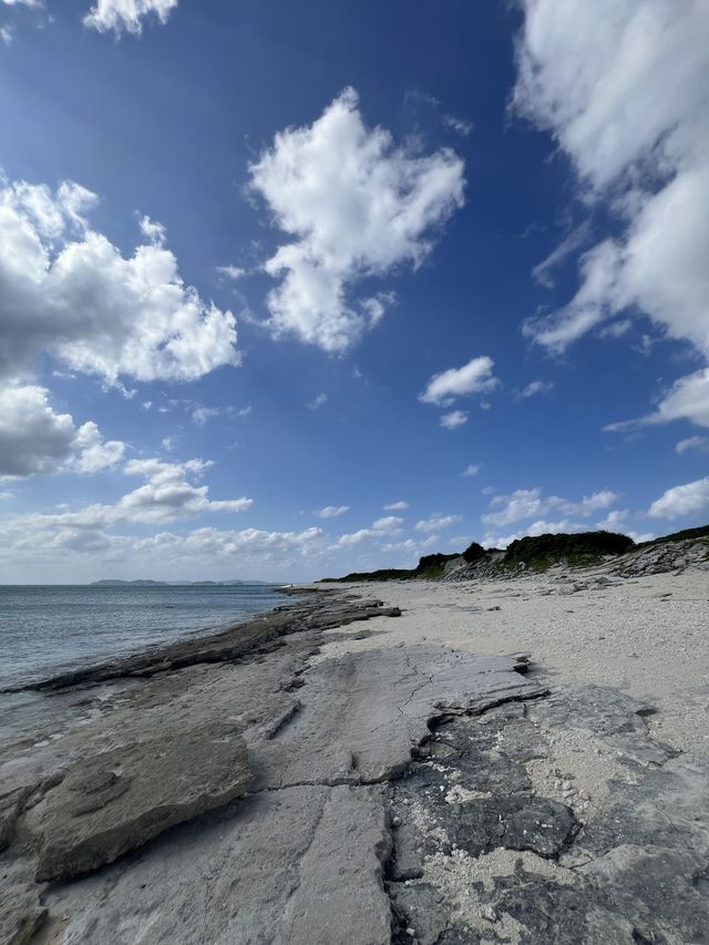 5日深度遊 揭秘日本隱藏玩法