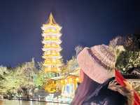 Two Rivers and Four Lakes Night Cruise 🇨🇳 