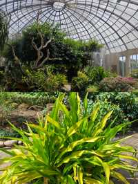 探索斯里蘭卡漢班托特乾區植物園：赤道上的綠色奇蹟
