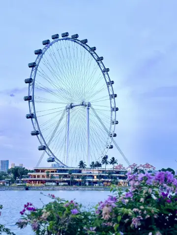 雲端之上,星光之下