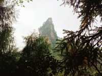 First Line Explorers: Deep Dive Into Hunan Forest "Underleaf" World