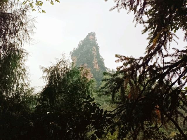 First Line Explorers: Deep Dive Into Hunan Forest "Underleaf" World