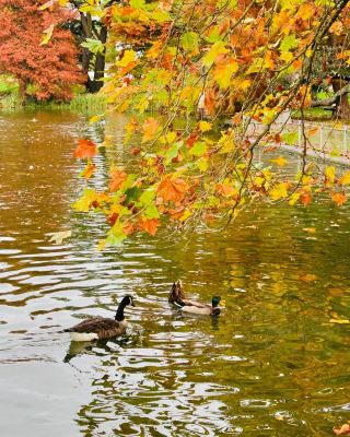 Visit Leamington and Enjoy a Leisurely Time at Jephson Gardens