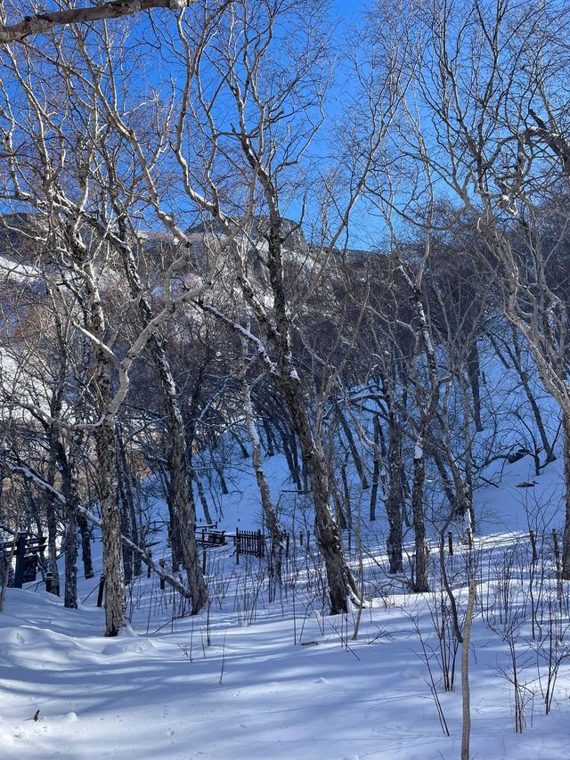秋日秘境長春-長白山 這樣玩才不負好時光 秋日秘境長春-長白山 這樣玩才不負好時光