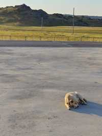 獨庫公路等地遊記|來場Citywalk吧