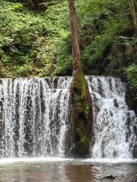 吉林通化龍灣群國家森林公園：大自然的夢幻仙境