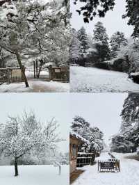 福井：解鎖日本小眾旅行的隱秘角落