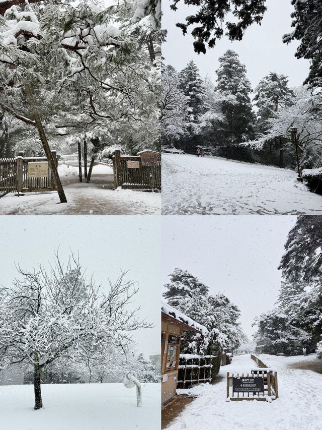 福井：解鎖日本小眾旅行的隱秘角落