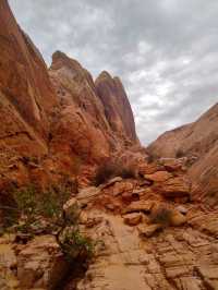 Valley of Fire – A Must-See Desert Wonderland 🔥🏜️