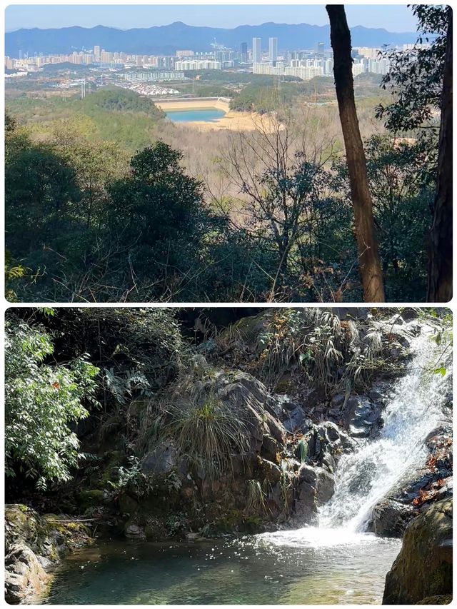 在大奇山國家森林公園偶遇“神秘生物”，你猜是啥？