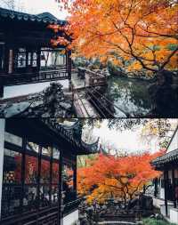 怡園