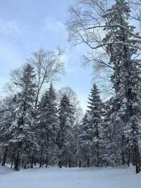 3日暢遊雪鄉等地 滑雪行程全攻略