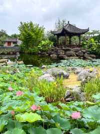 探索廣西貴港園博園，感受園林之美
