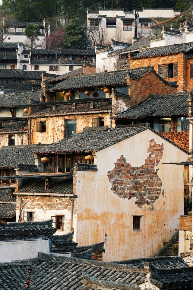 江西安徽｜南昌-婺源-黃山｜七天六夜旅行攻略