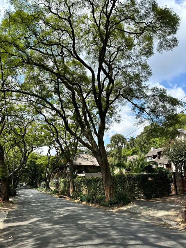 南非10日遊 超詳細攻略必收藏