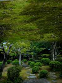 福岡大濠公園日本庭園︱邂逅和風詩意之境