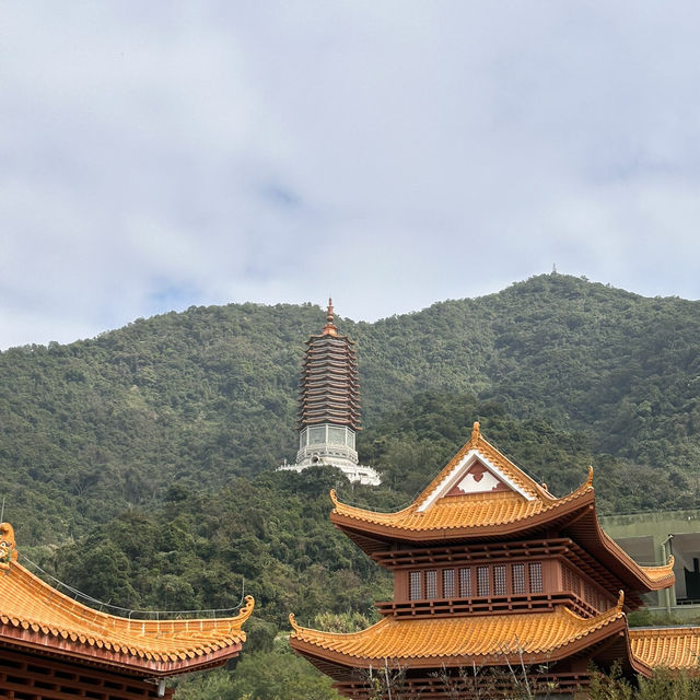 深圳仙湖植物園（含弘法寺）攻略