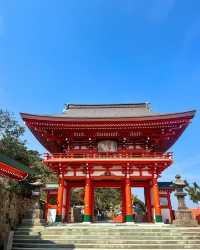 日本·宮崎 | 鵜戶神宮——海崖上的夢幻紅色神社！