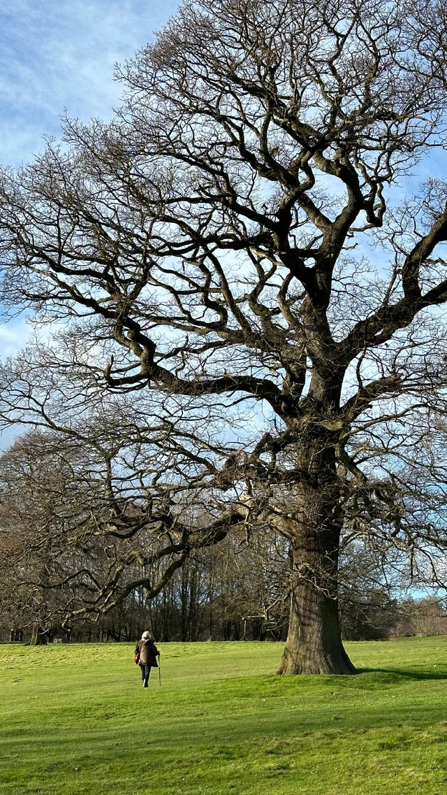 英國旅遊｜自然是藝術品 Yorkshire雕塑公園