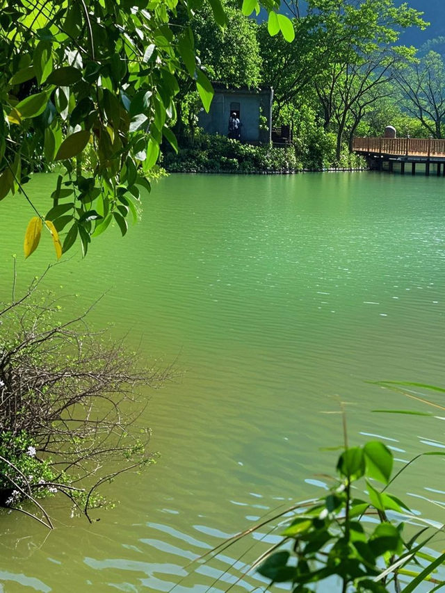 暖冬親子秘境｜在北緯22°山水畫框裡收藏童年