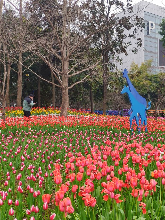 鬱金香重慶園博園