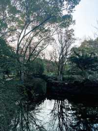 春天，台州黃岩呢個公園藏住最治癒嘅角落